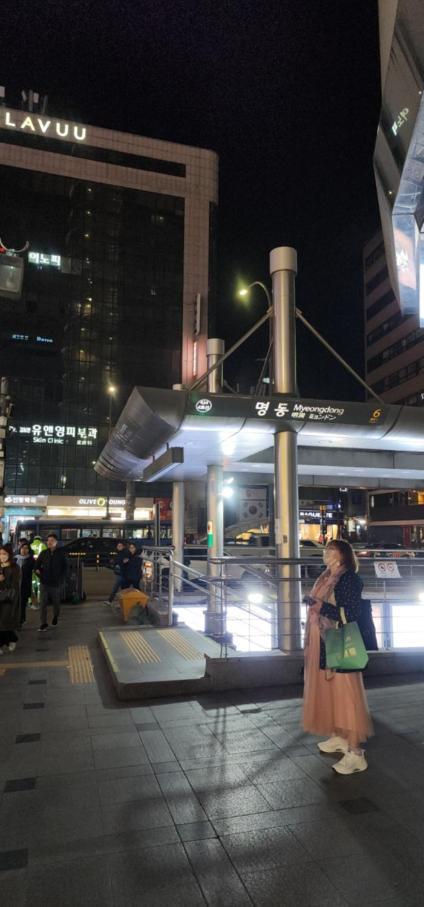 Mizo Hotel Seoul Exteriör bild